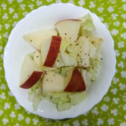 こんばんは！
白菜の甘味とリンゴの酸味がマッチして美味しかったです(^^♪ごちそうさまでした(=^・^=)